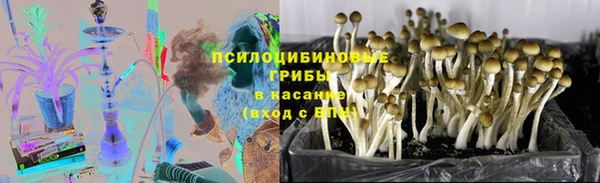 стафф Арсеньев