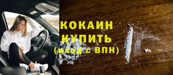 гашик Балахна