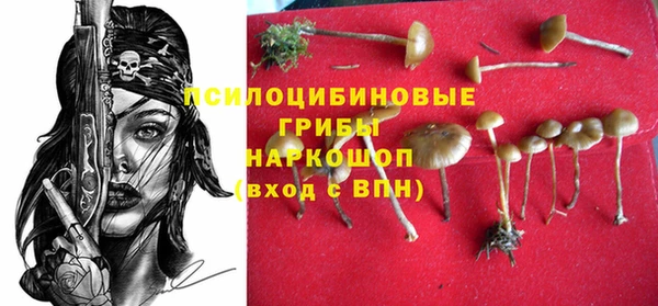 гашик Балахна